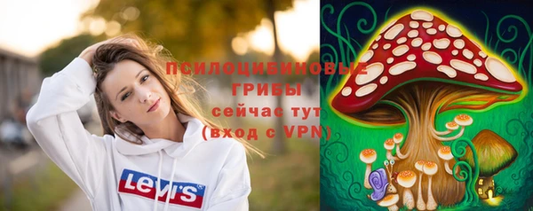 ГАЛЛЮЦИНОГЕННЫЕ ГРИБЫ Алзамай