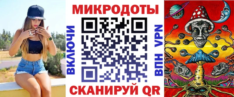 Галлюциногенные грибы Psilocybine cubensis  Аткарск 